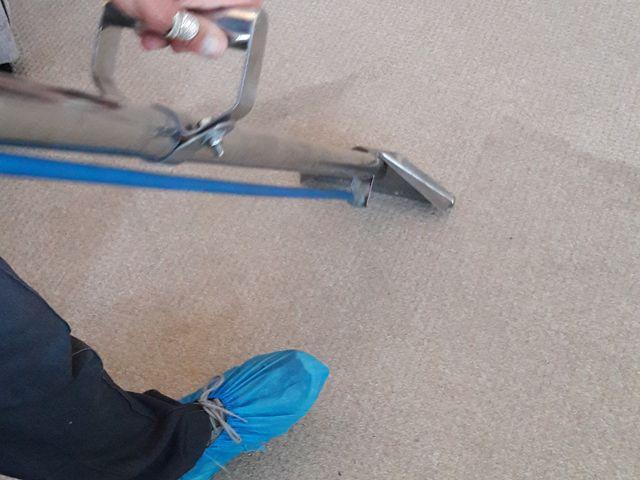 Carpet Cleaning
